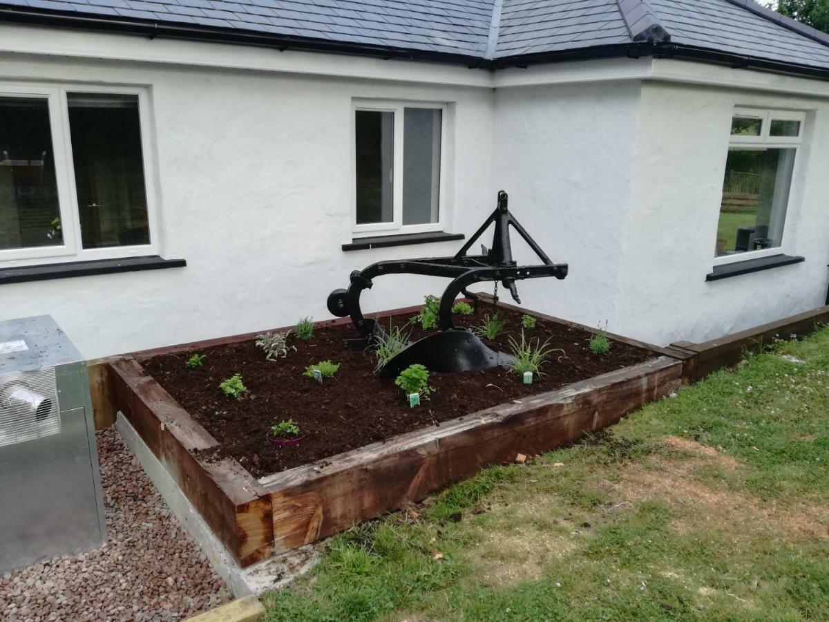 Riverside Cottage Carrickfergus Exterior foto